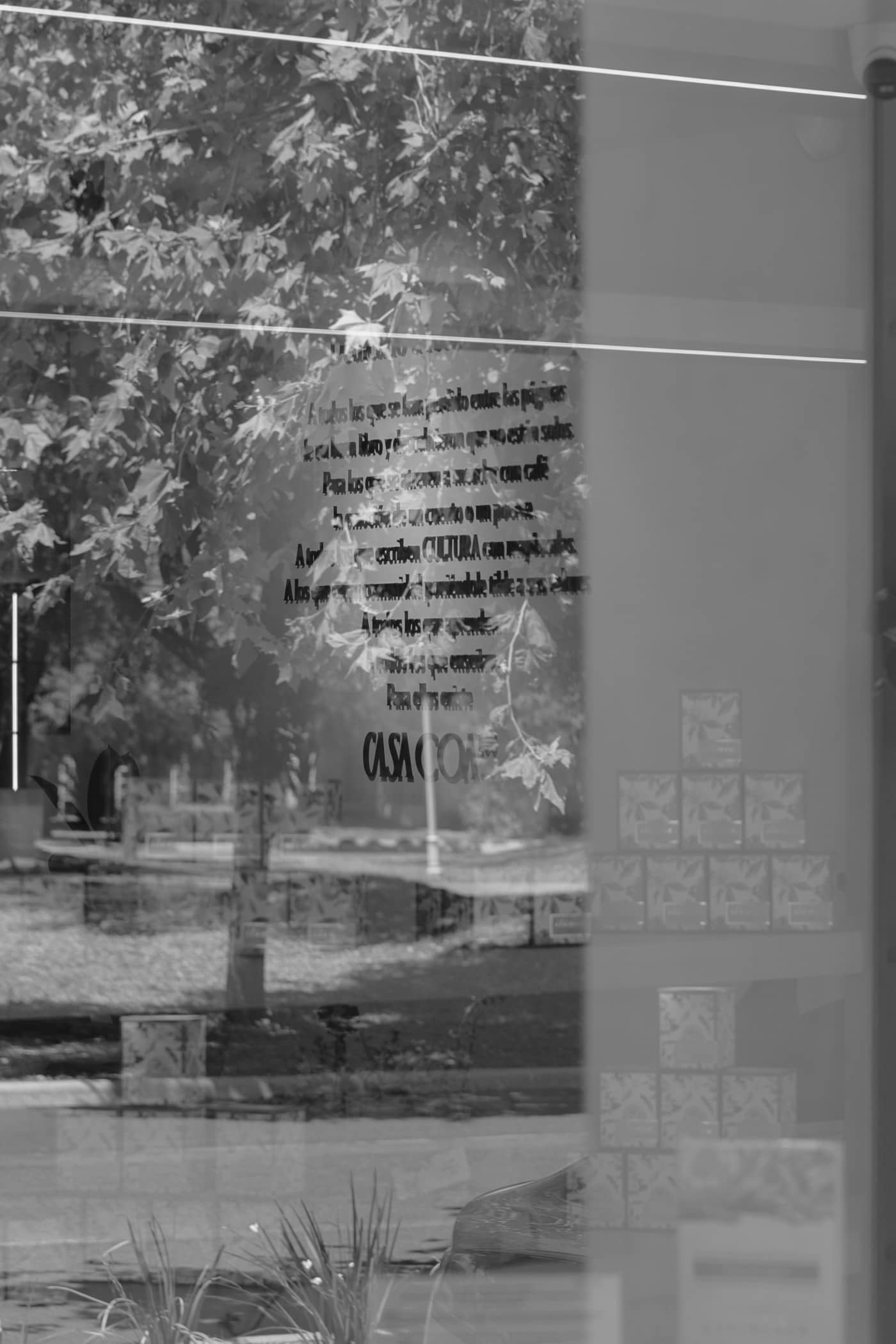 Reflejo en cristal grabado con vista al parque